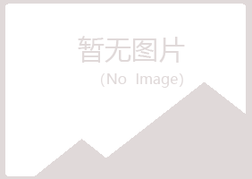 甘肃夏岚采矿有限公司